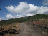 nte Rinatu-20110615 007